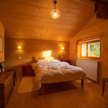 Chalet Vire Vent A 3 Confortable, Spacieux, Beau Jardin Chalet Gryon